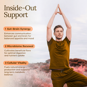 Capsules de complément GLP personnalisables OEM/ODM, GLP 1 naturel, probiotiques, booster de peptides, antioxydant, compléments nutritionnels pour adultes - Product Image 4