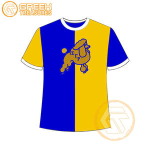 Vente en gros de t-shirt Sigma Gamma Rho pour femmes vêtements de sororité jersey de coton t-shirt respirant de haute qualité vêtements grecs pour femmes - Product Image 4