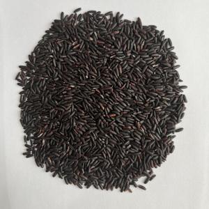Arroz Negro Seco Pegajoso del Sur del Mekong, Saludable y Cumple con las Normas de la UE, Textura Suave. Contacta a Irene Luong +84 366 018 472 - Product Image 3