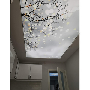 Diseño moderno Techos de PVC impermeables Acabado de vinilo elástico Diferentes tamaños Opciones de color para el sistema de estiramiento de aplicación interior - Product Image 4