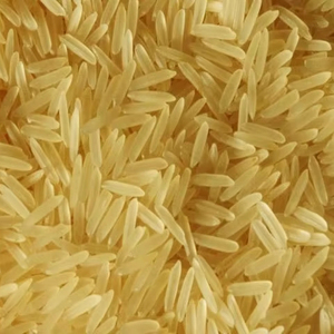 Baru panen PR11 emas Sella <span class=keywords><strong>Basmati</strong></span> Jasmine beras 1% rusak panjang tekstur keras Harga Terbaik beras putih makanan Cultivation Feed