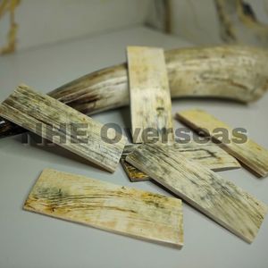 แผ่นฮอร์นแอฟริกันทำด้วยมือสำหรับกรอบแว่นตาดีไซน์เนอร์พรีเมียมการผลิตฮอร์นสีขาวธรรมชาติโดย nhe ต่างประเทศ - Product Image 3