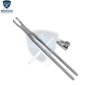 Forceps dentaires pour chevaux en acier inoxydable Conçus pour une extraction contrôlée des dents prémolaires et incisives Utilisation vétérinaire - Product Image 2