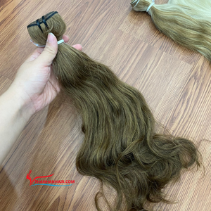 Extensiones de cabello de trama de Color de envío rápido de tendencia superior 100% paquetes de cabello alineados con cutícula virgen de cabello humano vietnamita - Product Image 1