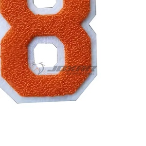 แผ่นผ้าปักหลากสีแฟชั่นใหม่ล่าสุด - Product Image 5