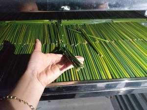 หลอดหญ้าเวียดนาม/หญ้าย่อยสลายได้จากเวียดนาม Eco2go - Product Image 5