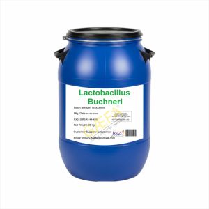 Poudre de Lactobacillus Buchneri d'origine - Product Image 1