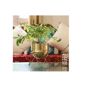 Metal Flower <b>Planter</b> Handmade Factory Customized Flowering <b>Garden</b> <b>Planter</b> Wholesale Supplies Flower <b>Planter</b> - Product Image 5