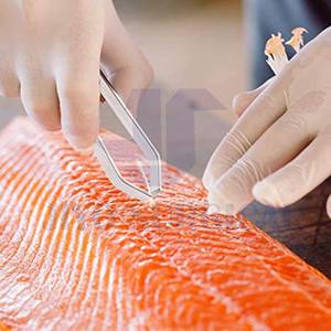 Pinzas de acero inoxidable de alta calidad de 4,75 "L para quitar huesos de pescado, fabricadas en Pakistán con certificación CE ISO - Product Image 2