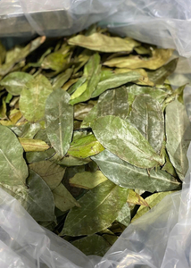 Feuilles de corossol séchées d'origine vietnamienne Annona Muricata, approvisionnement en vrac pour la production de thé - Product Image 6