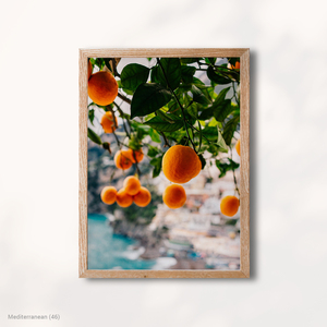Modern Mediterranean Fruit Nature Harmony Canvas Wall Decor with Wood <b>Frame</b> - Product Image 1