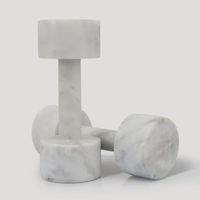 Équipement de gymnastique personnalisé en marbre Bandes de résistance écologiques Haltères et accessoires de fitness