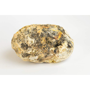 Extrait d'animal d'Ambergris à bas prix pour les commerçants et les exigences d'achat en vrac - Product Image 6