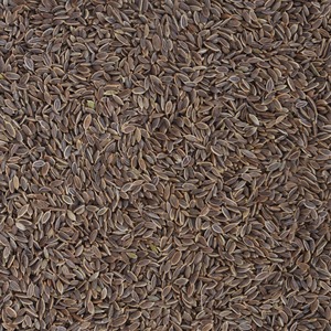 เมล็ดผักชีลาวสดแห้งมีความบริสุทธิ์สูงมี99% สำหรับการส่งออกเป็นกลุ่มเมล็ดผักชีลาวจากพืชผลที่เก็บเกี่ยวแบบพรีเมี่ยม - Product Image 5