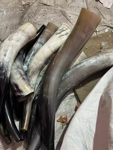 แตรเป่าธรรมชาติคุณภาพสูงและแตรเป่าด้วยงานฝีมือเสี้ยว - Product Image 3