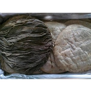 Tripa de Vaca Premium, Fresca y Congelada, Grado Industrial para Procesamiento de Alimentos - Product Image 5