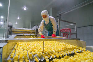 Piña Vietnamita Dulce y Ácida: Lista para Cortar - Product Image 4