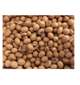 Germinación y soja amarilla de grado alimenticio Frijoles de soja secos de alta calidad Soja no GMO - Product Image 3