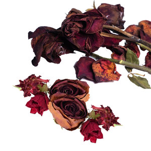 Fleur de rose rouge séchée | Remèdes traditionnels et utilisation à base de plantes - Product Image 3