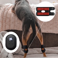 Terapi Cahaya Merah Anjing 660nm 850nm Nirkabel 10W 3 Tingkat Daya Timer Alas Terapi Cahaya Merah untuk Hewan Peliharaan