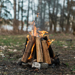 Combustible de biomasse en granulés de bois de qualité supérieure pour l'énergie renouvelable et les solutions de chauffage durables - Product Image 4