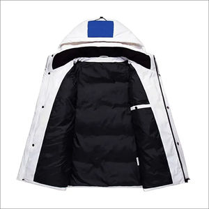 Veste matelassée à bulles personnalisée OEM 2024, imperméable, de haute qualité, rembourrée de coton, à capuche, style streetwear, toutes saisons, pour homme, hiver - Product Image 2