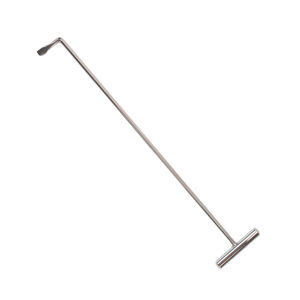 Elevador Dental Veterinario de Acero Inoxidable, Instrumento Médico Reutilizable AMETRINE SURGICAL AS-DE-0003, Certificado CE Clase II para - Product Image 2