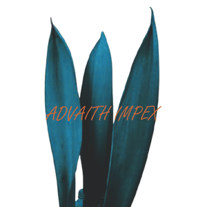 Plateau de nourriture en forme de bateau botanique naturel Coco support de plante décor à la maison Unique avec support de lumière de thé fleurs séchées bol mariages - Product Image 3