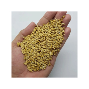 Graines d'orge de haute qualité pour l'alimentation animale maltée Variété de son de blé pour bovins et poissons - Product Image 5