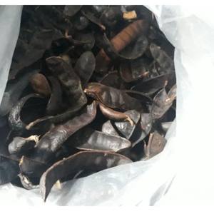 Gleditschiae Australia Fruit Dried Fructus Gleditschia para cabello - Product Image 1