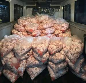 Cuellos de Pollo Congelados IQF Halal con 12 Meses de Caducidad en Venta - Product Image 5