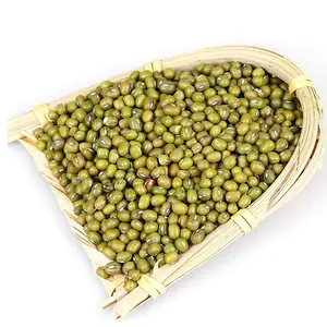 Top Quality Green Mung Beans / Whole Moong Beans Available For Sale