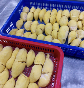 Durian Congelado IQF de Origen Vietnam, Hecho con Pulpa de Durian Procesada Cuidadosamente para Postres Comerciales, Repostería y Operaciones de Catering - Product Image 6