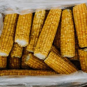 Épis de maïs/maïs naturel de qualité supérieure IQF à vendre Ms Hana - Product Image 6