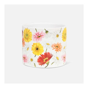 Esta bonita maceta grande de hierbas en maceta con pegatina esmaltada, maceta blanca circular, plantas y flores que hacen un bulto ingenioso - Product Image 2