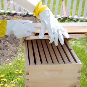 Gants de protection pour apiculteurs en peau de mouton, poignet élastique ventilé, manches longues de 36 cm, empêchent l'hibernation - Product Image 4