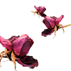 ดอกกุหลาบสีแดงแห้ง | ใช้ในสูตรเครื่องสำอางแบบทำมือ - Product Image 5