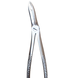 Instruments chirurgicaux dentaires électriques de haute qualité pince d'extraction dentaire à motif anglais pour les racines - Product Image 1