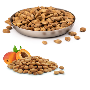 Apricot Kernel | Non-GMO และอุดมไปด้วยประโยชน์ของสมุนไพร - Product Image 3