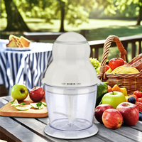 Robot culinaire électrique miniature de haute qualité 400W, plastique écologique, haute efficacité, capacité de 650 ml, portable, hachage, usage domestique