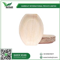 Assiette ovale en feuille de palmier Areca 16 pouces écologique Plats de dîner en bambou jetables Vente en gros directe pour les fêtes