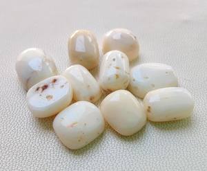 ปะการังทรงหลังเบี้ยทรงรีสีขาวจากญี่ปุ่นคุณภาพ AAA-ปะการังสีชมพูธรรมชาติสีขาวขัดปะการังแท้สีขาวอัญมณีทรงหลวม - Product Image 2