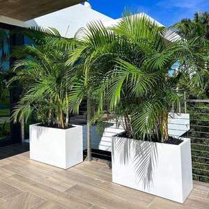 กระถางปลูกต้นไม้ประดิษฐ์ทำจากไฟเบอร์กลาสขนาดใหญ่ดีไซน์คลาสสิกหรูหราสำหรับใช้ในบ้านออฟฟิศกลางแจ้งสวน - Product Image 4