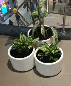 2023 Modern Indoor/Outdoor FRP Hanging <b>Planters</b> Indian Style Inspired Flower Pots <b>for</b> Home Decor Hotels Offices Reasonable Price - Product Image 6