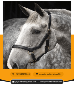 Bride Micklem de haute qualité pour chevaux Fabricant et fournisseur de matériel de cheval plié - Product Image 3