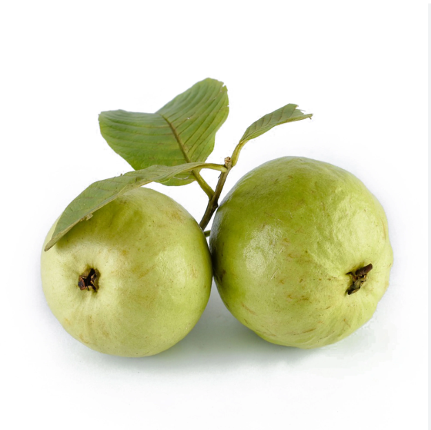 china guava seed