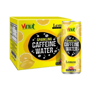 355ml מוגזים משקאות VINUT תיבת 4 פחיות קפאין מים לימון יצרנים פופולרי משקאות אישית ניסוח