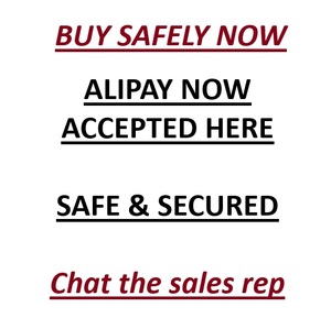 ธันเดอร์250cc วิบากผู้ใหญ่ขนาด XL ล้อหน้าขนาด21นิ้วสมรรถนะด้านหลังเครื่องยนต์ออฟโรดทนทาน - Product Image 2