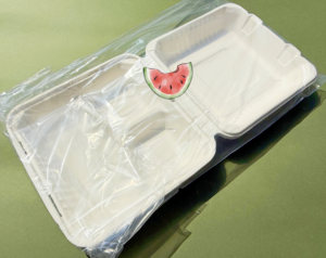 OEM nhà máy dùng một lần mía bã mía gói thực phẩm <span class=keywords><strong>container</strong></span> - Product Image 4