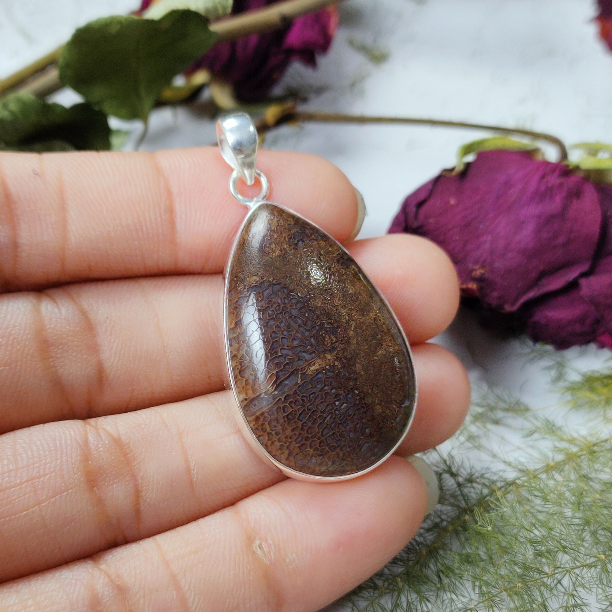 Dinosaur Bone Jasper